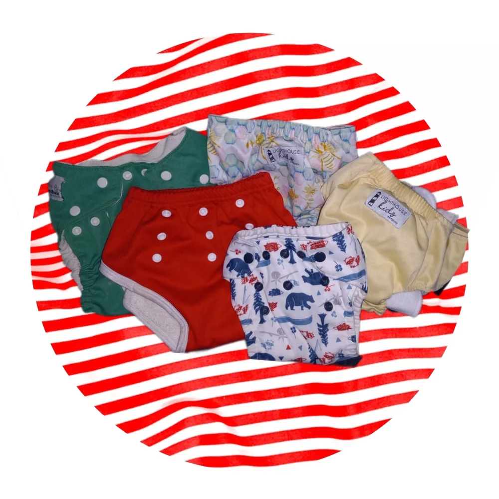 5 Pairs of Reusable Bsby Diapers